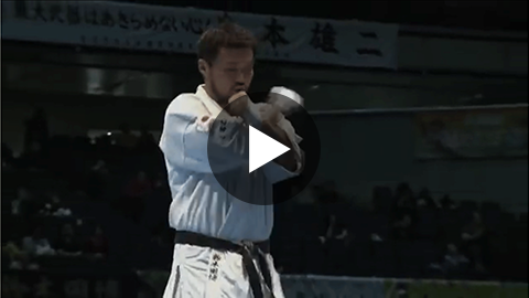 映像を見る